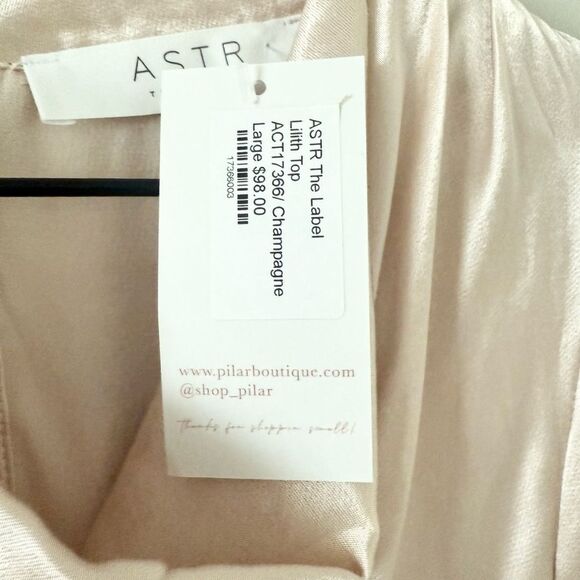 NWT ASTR The Label Lilith Long Sleeve Cowl Neck Satin Blouse in Champagne - L - Picture 11 of 11